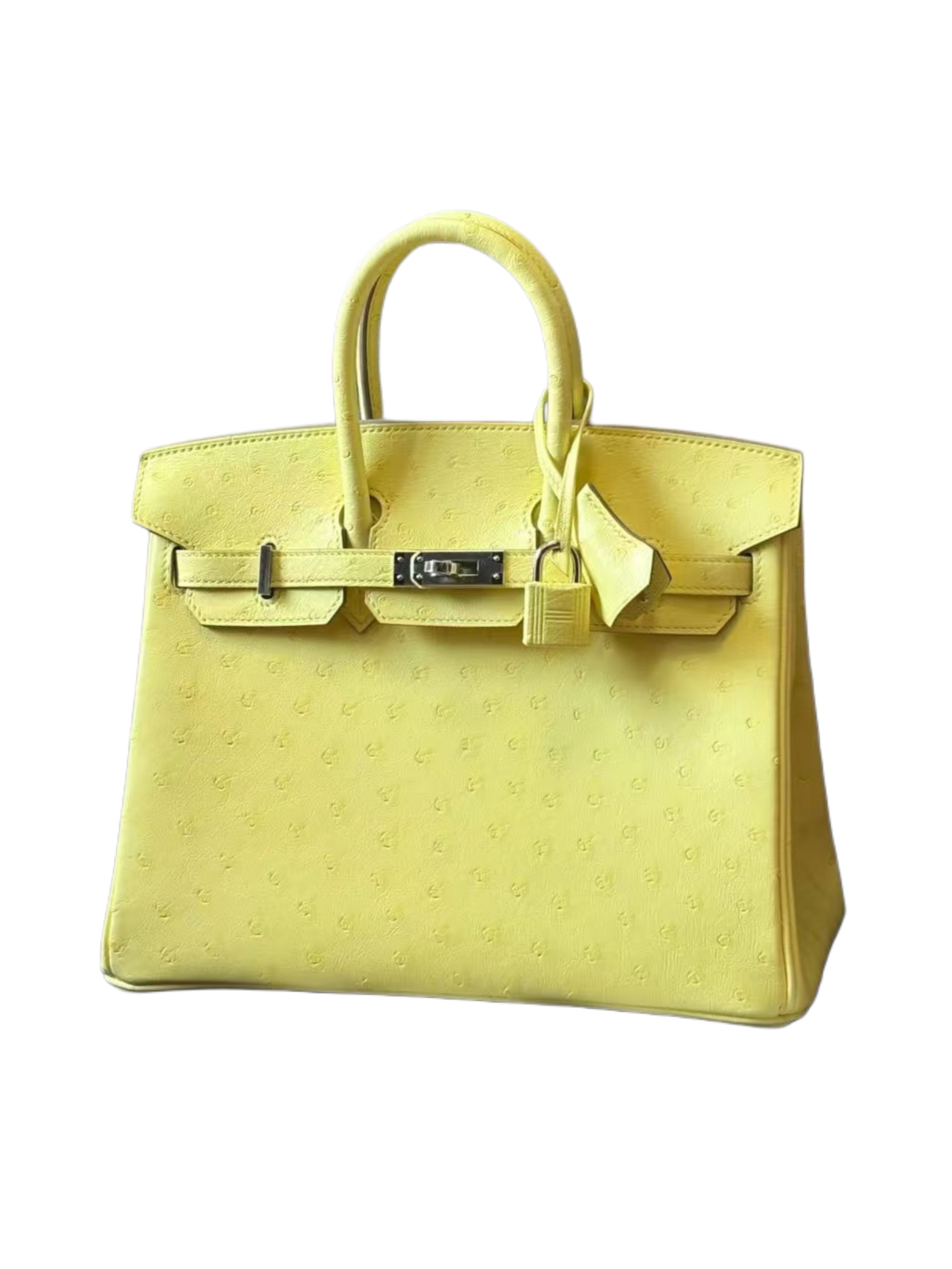 Hermès - Birkin 25 Limoncello Ostrich